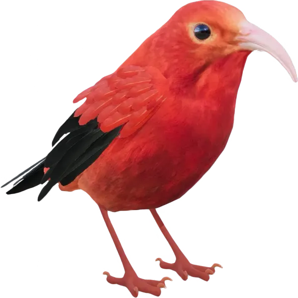 Videospielfigur